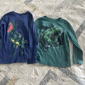 3 dinosaur long sleeve shirt
